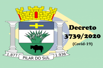 Decreto 3739/2020