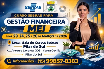Gestão Financeira para MEI