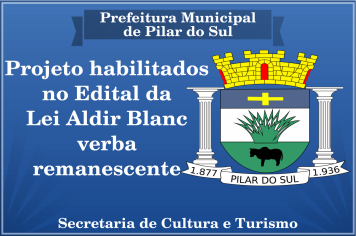 Projeto habilitados no Edital da Lei Aldir Blanc - verba remanescente